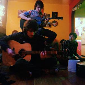 The Moogs